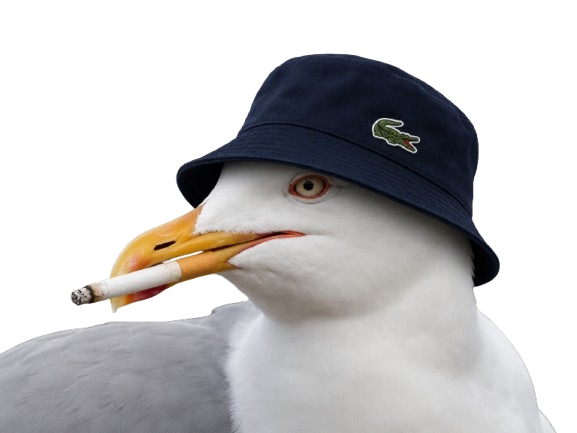 mouette qlf lacoste bob fume clope cigarette racaille toococla quartier