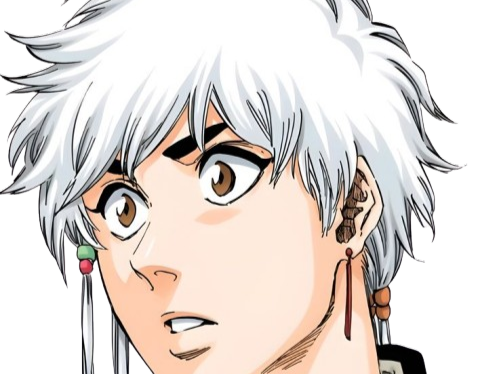 isane kotetsu bleach cheveux blanc yeux marron perles tresse fic bloop