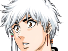 isane-kotetsu-bleach-cheveux-blanc-yeux-marron-perles-tresse-fic-bloop
