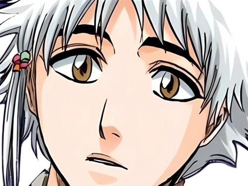 isane kotetsu bleach cheveux blanc yeux marron perles tresse fic bloop