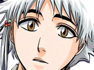 isane-kotetsu-bleach-cheveux-blanc-yeux-marron-perles-tresse-fic-bloop