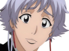 isane-kotetsu-bleach-cheveux-blanc-yeux-marron-perles-tresse-fic-bloop