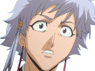isane-kotetsu-bleach-cheveux-blanc-yeux-marron-perles-tresse-fic-bloop