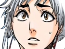 isane-kotetsu-bleach-cheveux-blanc-yeux-marron-perles-tresse-fic-bloop