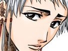 isane-kotetsu-bleach-cheveux-blanc-yeux-marron-perles-tresse-fic-bloop