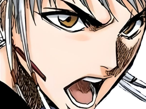 isane kotetsu bleach cheveux blanc yeux marron perles tresse fic bloop