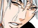 isane-kotetsu-bleach-cheveux-blanc-yeux-marron-perles-tresse-fic-bloop