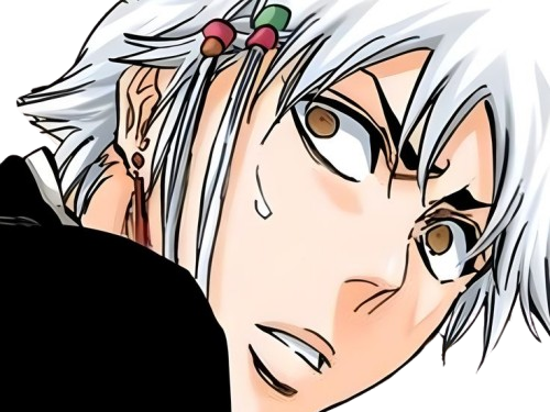 isane kotetsu bleach cheveux blanc yeux marron perles tresse fic bloop