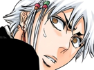isane-kotetsu-bleach-cheveux-blanc-yeux-marron-perles-tresse-fic-bloop