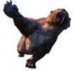 skyrim-smilodon