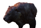 skyrim-smilodon