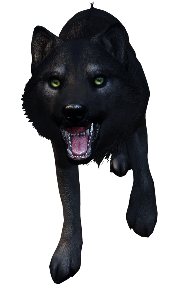 skyrim loup