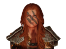 skyrim-compagnon