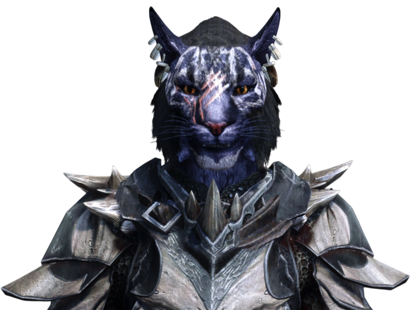 skyrim inigo