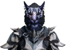 skyrim-inigo
