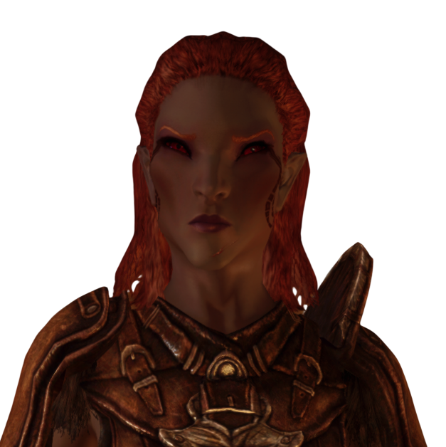 skyrim guerrier