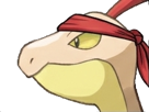 massko-delta-cokar-fic-vlt-pokemon