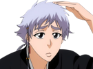 isane-kotetsu-bleach-cheveux-blanc-yeux-marron-perles-tresse-fic-bloop