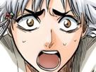isane-kotetsu-bleach-cheveux-blanc-yeux-marron-perles-tresse-fic-bloop