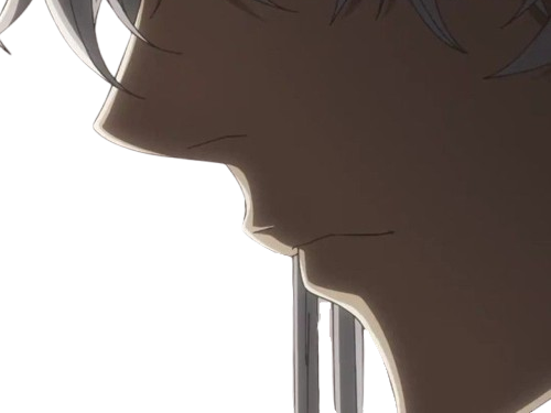 isane kotetsu bleach cheveux blanc yeux marron perles tresse fic bloop