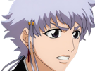 isane-kotetsu-bleach-cheveux-blanc-yeux-marron-perles-tresse-fic-bloop