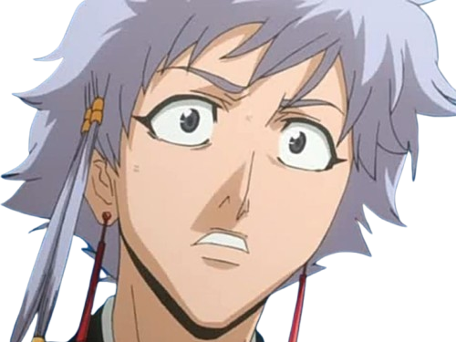 isane kotetsu bleach cheveux blanc yeux marron perles tresse fic bloop