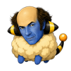 wattouat-mignon-chat-aya-drole-poche-mareep-zidane-zizou-calvasse