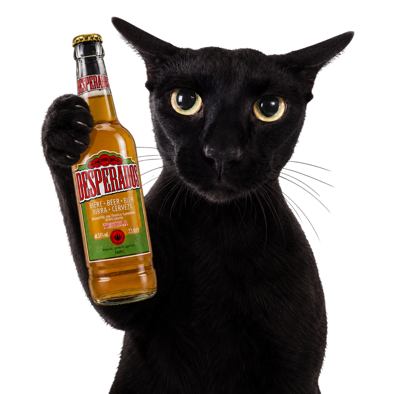 cat mordor despe canuche 86 meow
