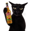 cat-mordor-despe-canuche-86-meow