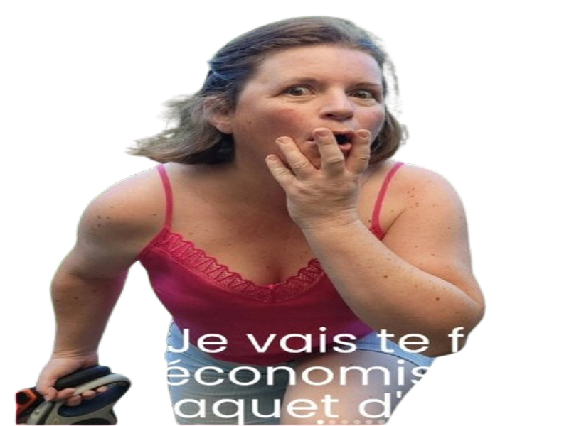 cecile perrichon tornade tribu bus balade oups etonne choc magali magalax french dream conne