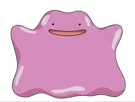 fic-vlt-pokemon-corvaillus-victoria