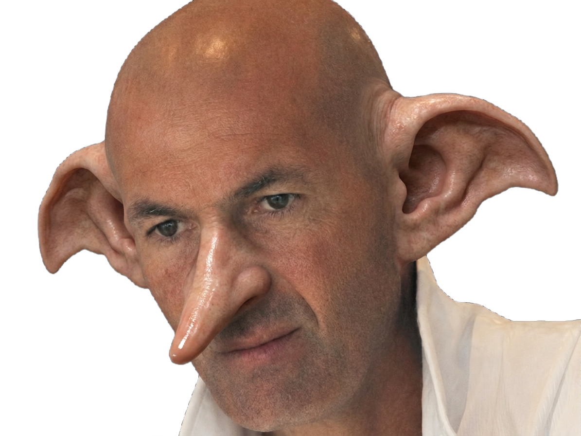 zidane zidanent zizou zizouent coupe monde zinedine euro dobby harry potter