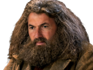 zidane-zidanent-zizou-zizouent-coupe-monde-zinedine-euro-harry-potter-hagrid-poudlard