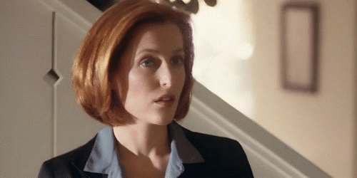 prime gillian anderson 90s redhead rdh xfiles scully ayy lmao ufo groom area51 lake s4