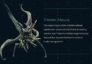 ripley-romulus-xeno-ufo-ovni-ayy-lmao-area51-zone51-hybrid-covenant-prometheus-giger-goo-acid