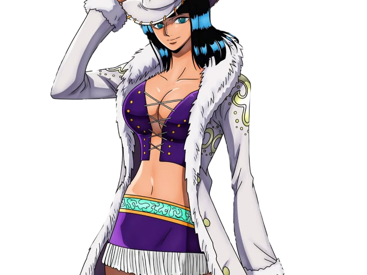 nico robin one piece ninon cheveux noir yeux bleu fic bloop chapeau manteau bustier