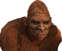 eberlue-singe-gta-deforme-roux-yeti-grand-theft-auto-online-choque-poilu-gorille-gori