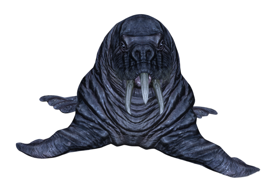skyrim horqueur