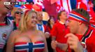 norvege-norvegienne-lait-viking-foot-cdm