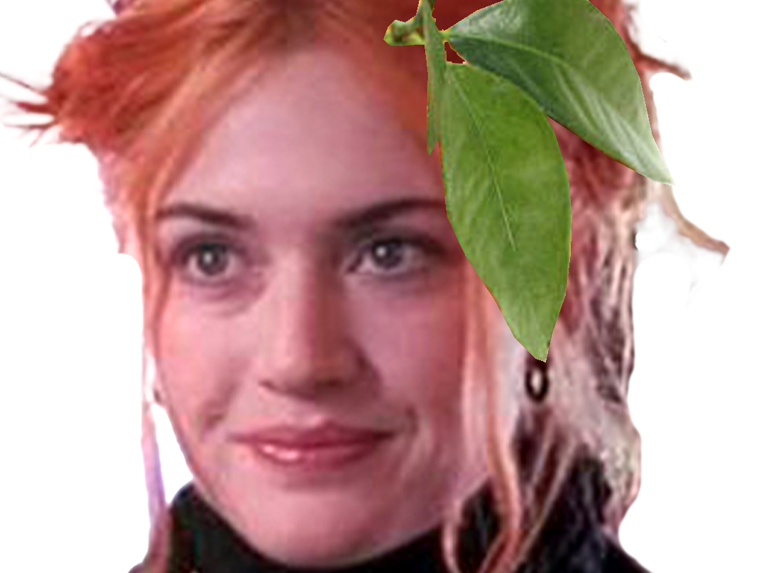 kate winslet eternal sunshine clementine kruczynski agrume feuille spotless mind fruit citrus