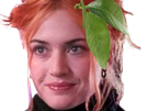kate-winslet-eternal-sunshine-clementine-kruczynski-agrume-feuille-spotless-mind-fruit-citrus