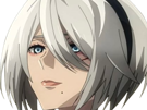 2b-nier-automata-cheveux-blanc-yeux-bleu-opale-de-brienne-fic-bloop