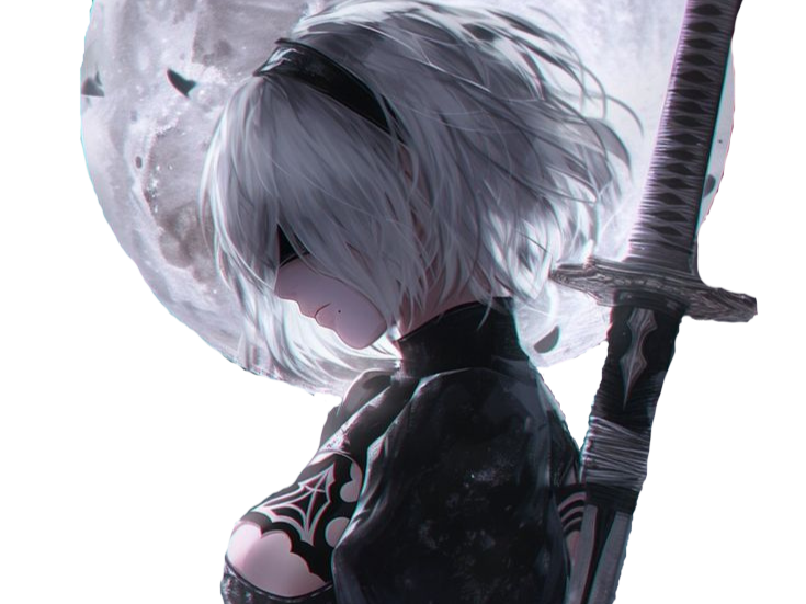 2b nier automata cheveux blanc yeux bleu opale de brienne fic bloop