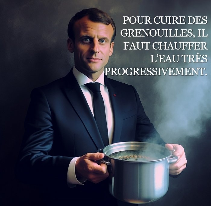 emmanuel macron cuire grenouilles casserole veaux francais