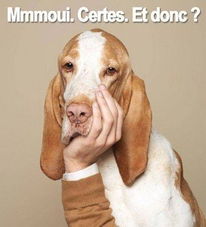 chien moui certes accord ok donc mmmoui oui