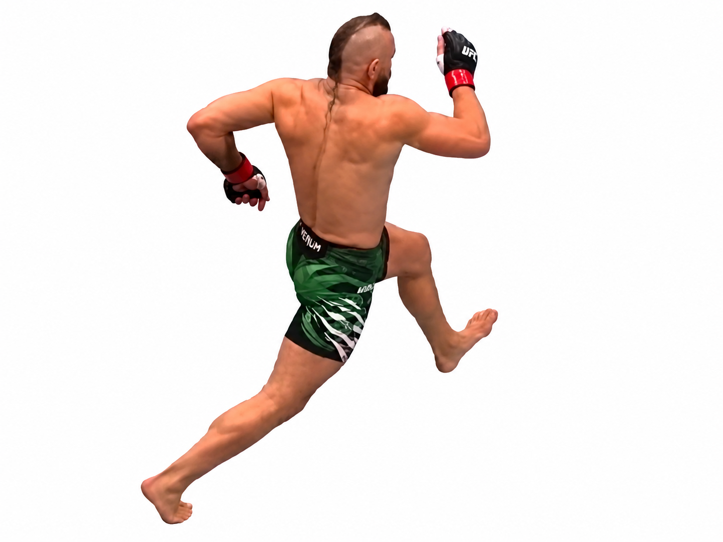 conor mcgregor irlande ufc mma fail course chicken blessure risitas issou