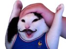 chat-football-edf-victoire-foot-maillot-france-supporter