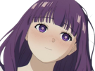fern-frieren-cheveux-indigo-yeux-violet-lieden-fic-bloop