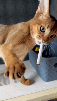 cig-cana-puff-ocb-ganja-beuh-def-drug-meth-blunt-herb-cbd-tabac-bong-thc