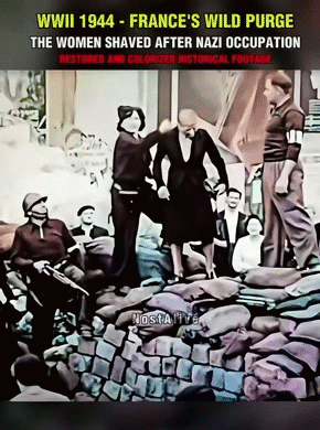 francaise collab ww2 3945 toute traitre traitor punish peine penal trial rase fact story tr3